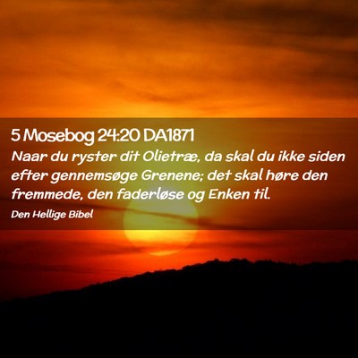 Picture 02 - 5 Mosebog 24:20 DA1871 - Naar du ryster dit Olietræ, da skal du ikke - Bible Verse Picture
