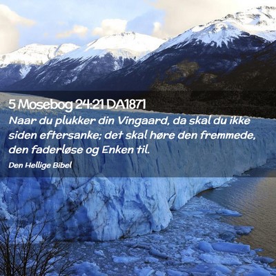 Picture 02 - 5 Mosebog 24:21 DA1871 - Naar du plukker din Vingaard, da skal du ikke - Bible Verse Picture