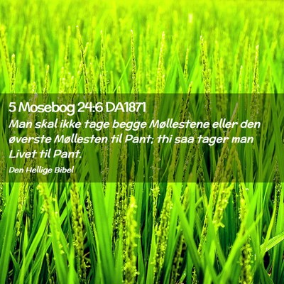 Picture 02 - 5 Mosebog 24:6 DA1871 - Man skal ikke tage begge Møllestene eller den - Bible Verse Picture