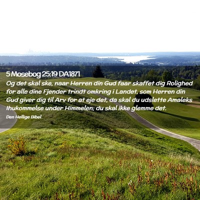 Picture 02 - 5 Mosebog 25:19 DA1871 - Og det skal ske, naar Herren din Gud faar skaffet - Bible Verse Picture