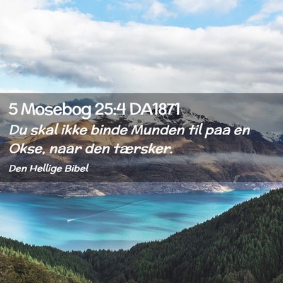 Picture 02 - 5 Mosebog 25:4 DA1871 - Du skal ikke binde Munden til paa en Okse, naar - Bible Verse Picture