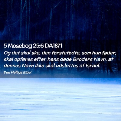 Picture 02 - 5 Mosebog 25:6 DA1871 - Og det skal ske, den førstefødte, som hun - Bible Verse Picture