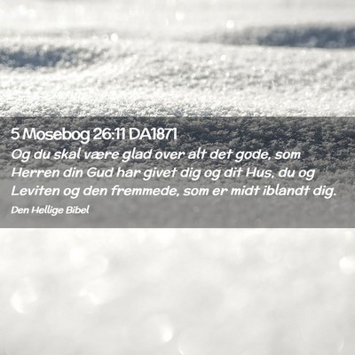 Picture 02 - 5 Mosebog 26:11 DA1871 - Og du skal være glad over alt det gode, som - Bible Verse Picture