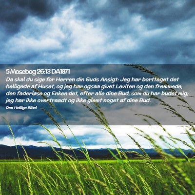 Picture 02 - 5 Mosebog 26:13 DA1871 - Da skal du sige for Herren din Guds Ansigt: Jeg - Bible Verse Picture