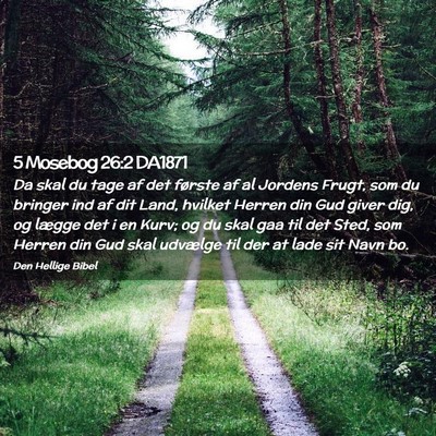 Picture 02 - 5 Mosebog 26:2 DA1871 - Da skal du tage af det første af al Jordens - Bible Verse Picture