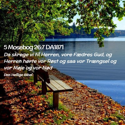 Picture 02 - 5 Mosebog 26:7 DA1871 - Da skrege vi til Herren, vore Fædres Gud, og - Bible Verse Picture