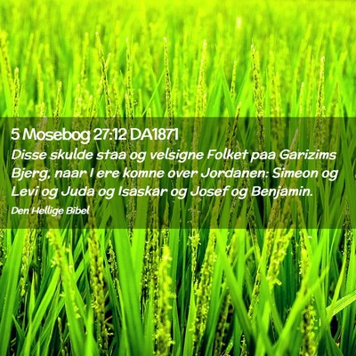 Picture 02 - 5 Mosebog 27:12 DA1871 - Disse skulde staa og velsigne Folket paa Garizims - Bible Verse Picture