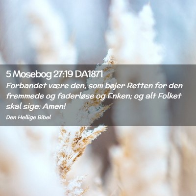 Picture 02 - 5 Mosebog 27:19 DA1871 - Forbandet være den, som bøjer Retten for den - Bible Verse Picture