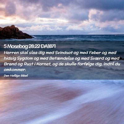 Picture 02 - 5 Mosebog 28:22 DA1871 - Herren skal slaa dig med Svindsot og med Feber og - Bible Verse Picture