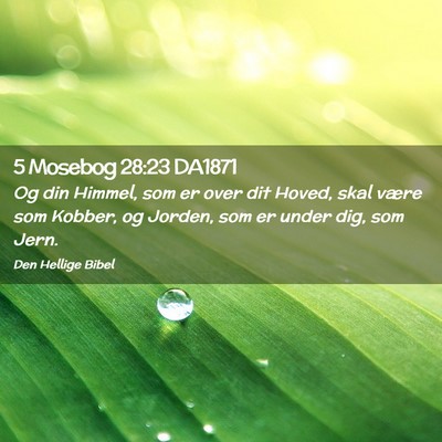 Picture 02 - 5 Mosebog 28:23 DA1871 - Og din Himmel, som er over dit Hoved, skal være - Bible Verse Picture