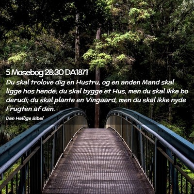 Picture 02 - 5 Mosebog 28:30 DA1871 - Du skal trolove dig en Hustru, og en anden Mand - Bible Verse Picture