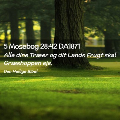 Picture 02 - 5 Mosebog 28:42 DA1871 - Alle dine Træer og dit Lands Frugt skal - Bible Verse Picture