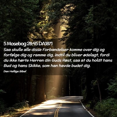 Picture 02 - 5 Mosebog 28:45 DA1871 - Saa skulle alle disse Forbandelser komme over dig - Bible Verse Picture