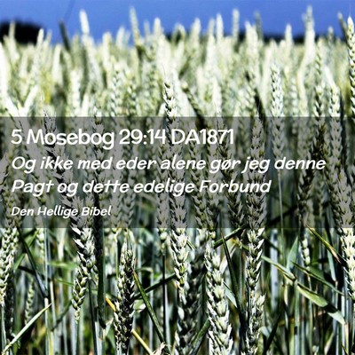 Picture 02 - 5 Mosebog 29:14 DA1871 - Og ikke med eder alene gør jeg denne Pagt og - Bible Verse Picture