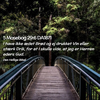 Picture 02 - 5 Mosebog 29:6 DA1871 - I have ikke ædet Brød og ej drukket Vin eller - Bible Verse Picture