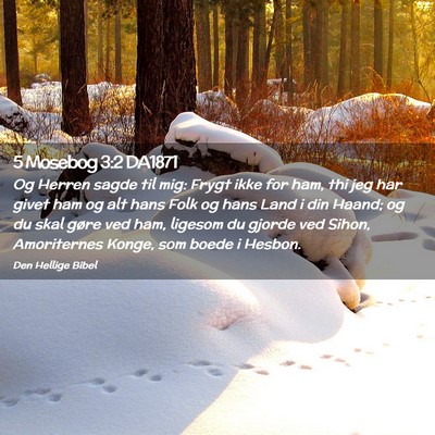 Picture 02 - 5 Mosebog 3:2 DA1871 - Og Herren sagde til mig: Frygt ikke for ham, thi - Bible Verse Picture