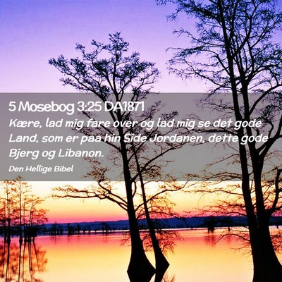 Picture 02 - 5 Mosebog 3:25 DA1871 - Kære, lad mig fare over og lad mig se det gode - Bible Verse Picture