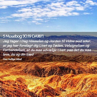 Picture 02 - 5 Mosebog 30:19 DA1871 - Jeg tager i Dag Himmelen og Jorden til Vidne mod - Bible Verse Picture