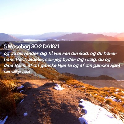 Picture 02 - 5 Mosebog 30:2 DA1871 - og du omvender dig til Herren din Gud, og du - Bible Verse Picture