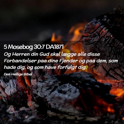 Picture 02 - 5 Mosebog 30:7 DA1871 - Og Herren din Gud skal lægge alle disse - Bible Verse Picture
