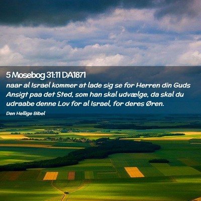 Picture 02 - 5 Mosebog 31:11 DA1871 - naar al Israel kommer at lade sig se for Herren - Bible Verse Picture