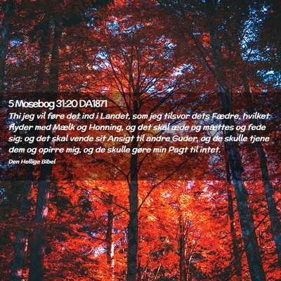 Picture 02 - 5 Mosebog 31:20 DA1871 - Thi jeg vil føre det ind i Landet, som jeg - Bible Verse Picture