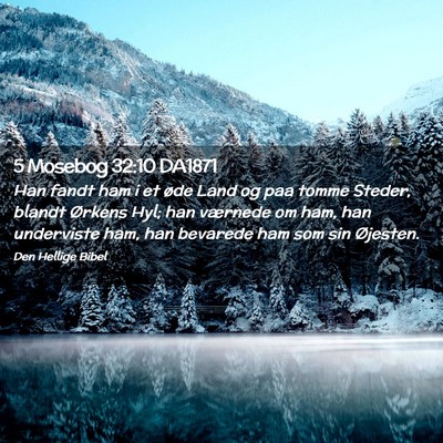Picture 02 - 5 Mosebog 32:10 DA1871 - Han fandt ham i et øde Land og paa tomme Steder, - Bible Verse Picture