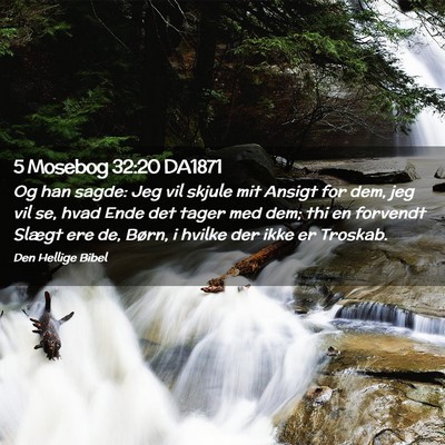 Picture 02 - 5 Mosebog 32:20 DA1871 - Og han sagde: Jeg vil skjule mit Ansigt for dem, - Bible Verse Picture
