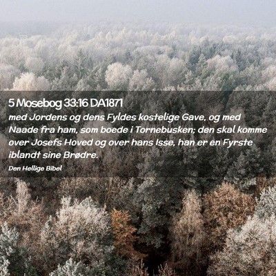 Picture 02 - 5 Mosebog 33:16 DA1871 - med Jordens og dens Fyldes kostelige Gave, og med - Bible Verse Picture