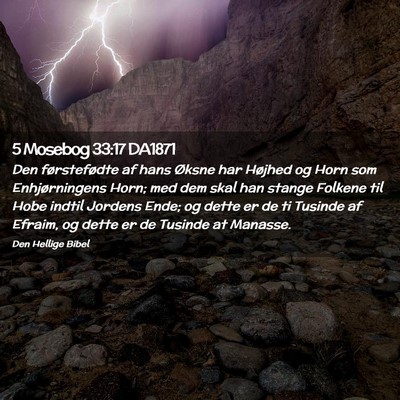 Picture 02 - 5 Mosebog 33:17 DA1871 - Den førstefødte af hans Øksne har Højhed og - Bible Verse Picture