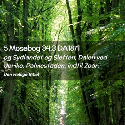 Picture 02 - 5 Mosebog 34:3 DA1871 - og Sydlandet og Sletten, Dalen ved Jeriko, - Bible Verse Picture