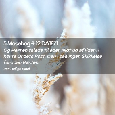 Picture 02 - 5 Mosebog 4:12 DA1871 - Og Herren talede til eder midt ud af Ilden; I - Bible Verse Picture