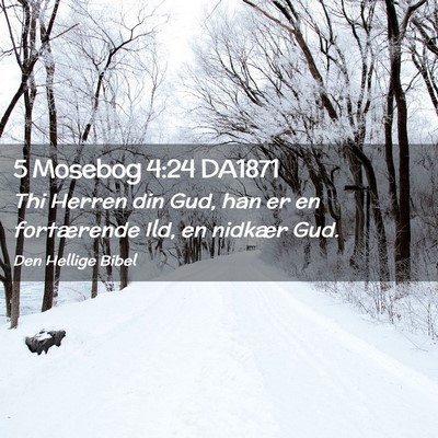 Picture 02 - 5 Mosebog 4:24 DA1871 - Thi Herren din Gud, han er en fortærende Ild, en - Bible Verse Picture