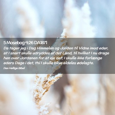Picture 02 - 5 Mosebog 4:26 DA1871 - Da tager jeg i Dag Himmelen og Jorden til Vidne - Bible Verse Picture