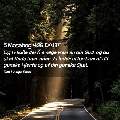 Picture 02 - 5 Mosebog 4:29 DA1871 - Og I skulle derfra søge Herren din Gud, og du - Bible Verse Picture