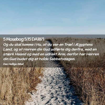 Picture 02 - 5 Mosebog 5:15 DA1871 - Og du skal komme i Hu, at du var en Træl i - Bible Verse Picture