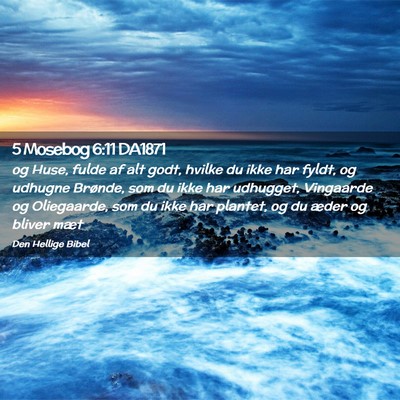 Picture 02 - 5 Mosebog 6:11 DA1871 - og Huse, fulde af alt godt, hvilke du ikke har - Bible Verse Picture
