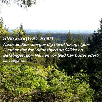 Picture 02 - 5 Mosebog 6:20 DA1871 - Naar din Søn spørger dig herefter og siger: - Bible Verse Picture