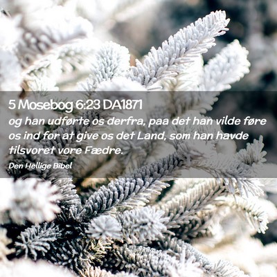 Picture 02 - 5 Mosebog 6:23 DA1871 - og han udførte os derfra, paa det han vilde - Bible Verse Picture