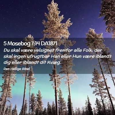Picture 02 - 5 Mosebog 7:14 DA1871 - Du skal være velsignet fremfor alle Folk; der - Bible Verse Picture
