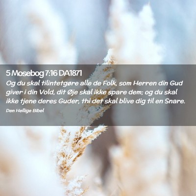 Picture 02 - 5 Mosebog 7:16 DA1871 - Og du skal tilintetgøre alle de Folk, som Herren - Bible Verse Picture