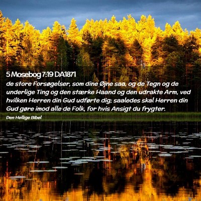 Picture 02 - 5 Mosebog 7:19 DA1871 - de store Forsøgelser, som dine Øjne saa, og de - Bible Verse Picture