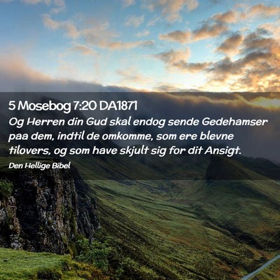 Picture 02 - 5 Mosebog 7:20 DA1871 - Og Herren din Gud skal endog sende Gedehamser paa - Bible Verse Picture