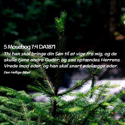 Picture 02 - 5 Mosebog 7:4 DA1871 - Thi han skal bringe din Søn til at vige fra mig, - Bible Verse Picture
