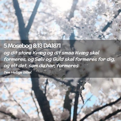 Picture 02 - 5 Mosebog 8:13 DA1871 - og dit store Kvæg og dit smaa Kvæg skal - Bible Verse Picture