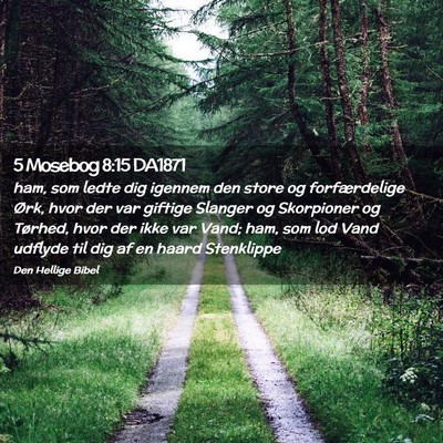 Picture 02 - 5 Mosebog 8:15 DA1871 - ham, som ledte dig igennem den store og - Bible Verse Picture