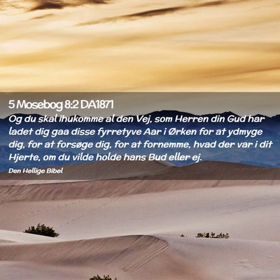 Picture 02 - 5 Mosebog 8:2 DA1871 - Og du skal ihukomme al den Vej, som Herren din - Bible Verse Picture