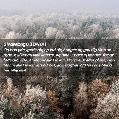 Picture 02 - 5 Mosebog 8:3 DA1871 - Og han ydmygede dig og lod dig hungre og gav dig - Bible Verse Picture