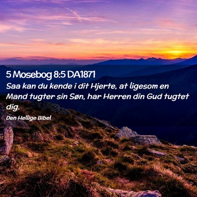 Picture 02 - 5 Mosebog 8:5 DA1871 - Saa kan du kende i dit Hjerte, at ligesom en Mand - Bible Verse Picture