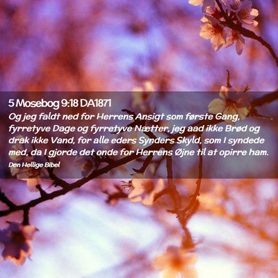 Picture 02 - 5 Mosebog 9:18 DA1871 - Og jeg faldt ned for Herrens Ansigt som første - Bible Verse Picture